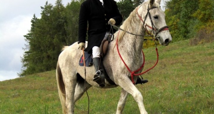 img-1747.jpg